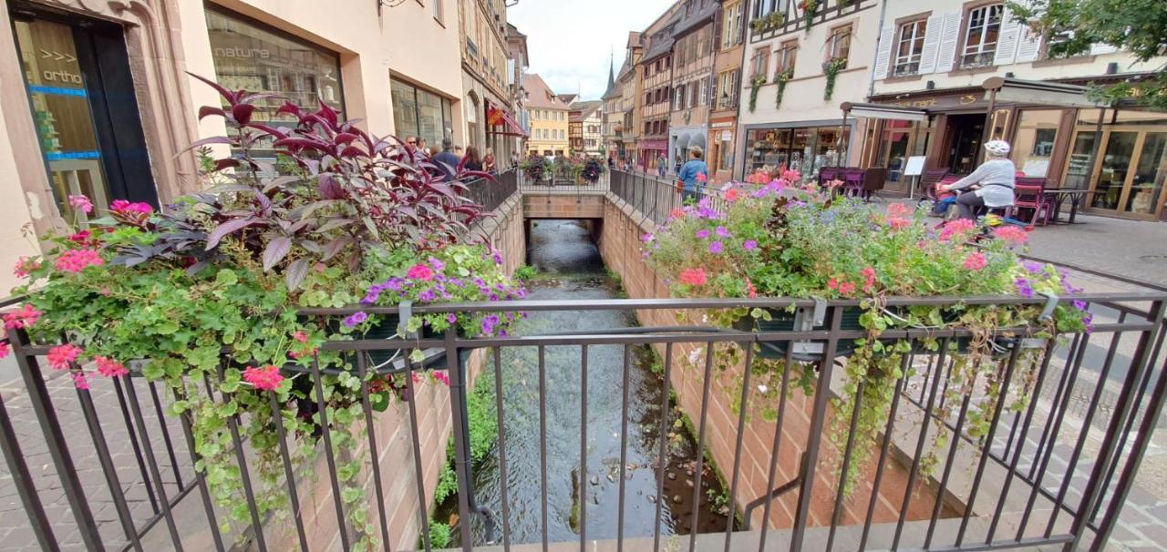 Le Green St Leon : Lit Queen Size * Wifi * Ideal Couple Colmar Zewnętrze zdjęcie