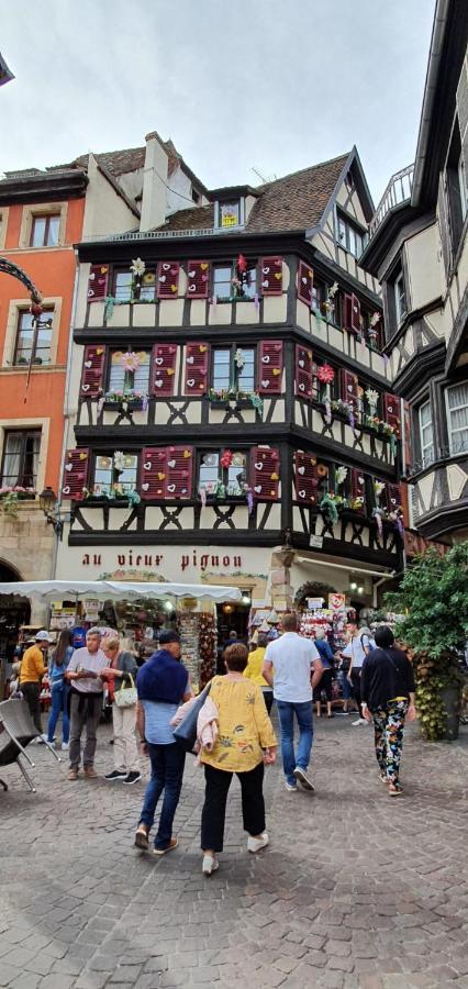 Le Green St Leon : Lit Queen Size * Wifi * Ideal Couple Colmar Zewnętrze zdjęcie